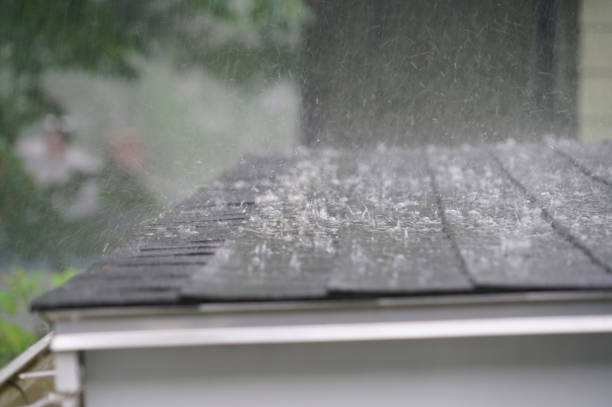 Best Sheet Metal Roofing  in Homewood, SC