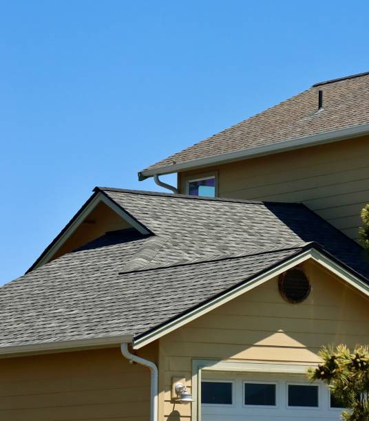 Best Roof Coating and Sealing  in Homewood, SC